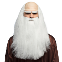 Verkleedpruik met baard heren   wit   Middeleeuwen/Tovenaar   Carnaval   lang haar