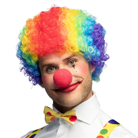 Verkleedpruik voor heren/dames   Clown   Multi colours   Carnaval   kort krullend haar