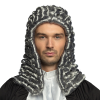 Verkleedpruik voor heren   grijs   Rechter/Middeleeuwen   Carnaval   lang haar met nepkrullen