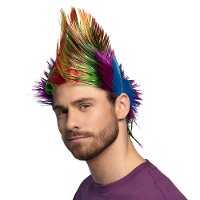 Verkleedpruik voor heren   multi kleuren   Punker/Muzikant   Carnaval   haar met hanekam