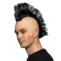 Verkleedpruik voor heren   zwart   Punker/Muzikant   Carnaval   haar met hanekam