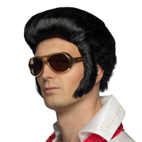 Verkleedpruik voor heren   zwart   Rock and Roll/muzikant/Elvis   Carnaval   haar met bakkebaarden