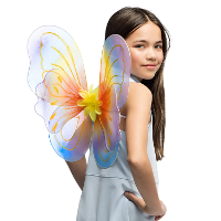 Boland Vleugels   regenboog   kinderen   40 x 50 cm   vlinder vleugels