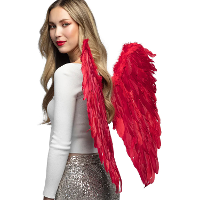 Boland Vleugels   rood   65 cm   duivel   halloween   horror thema   met veren