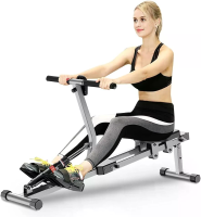 Bominfit Piston Roeimachine met Dubbel Rail Sliding Home Fitness Roeier voor Full Body Cardio & Krachttraining