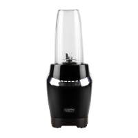 Boretti B210 blender