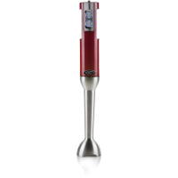 Boretti B221 staafmixer