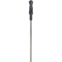 Bosch Accessories 2608597170 Bekistingsboor 26 mm Gezamenlijke lengte 400 mm Cilinderschacht 1 stuk(s)