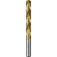 Bosch Accessories 2609255107 2609255107 HSS Metaal spiraalboor 9 mm Gezamenlijke lengte 125 mm TiN DIN 338 Cilinderschacht 1 stuk(s)