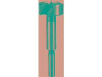 Bosch Accessories 2609255284 Forstnerboor 10 mm Gezamenlijke lengte 90 mm Cilinderschacht 1 stuk(s)