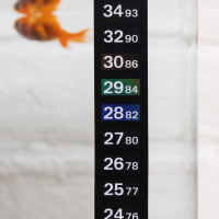 Boyu Bt 05 Aquarium Digital Thermometer For Fish Tank