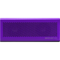 570 Wireless Speaker Purple