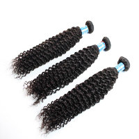 Brazilian Kinky Curly Virgin Real Human Hair Piece Extension