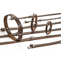 Leren Halsbanden 27 cm voor de hond Beige