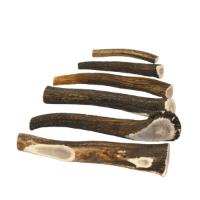 Brekz Snacks   Antler voor de hond Giant