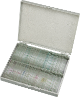 Bresser Optik Dauerpräparate 100er 5986003 Microscoop objectdrager