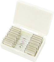 Bresser Optik Dauerpräparate Profi 10er 136815 Microscoop objectdrager