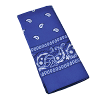 Boeren of cowboy zakdoek bandana   blauw   geruit   54 x 53 cm   Carnaval verkleed accessiores