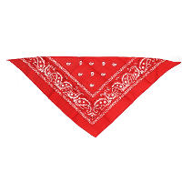 Boeren of cowboy zakdoek bandana   rood   geruit   54 x 53 cm   Carnaval verkleed accessiores