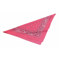 Boeren of cowboy zakdoek bandana   roze   geruit   54 x 53 cm   Carnaval verkleed accessiores