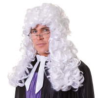 Carnaval pruik   Lange witte rechters pruik   met krullen   heren   klassiek