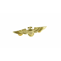 Piloten/Vliegeniers verkleed broche   goud   7 cm   Wings speldje   Piloot verkleed accessoires