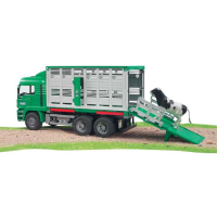 Man Veetransport Met Koe