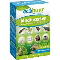 Ecokuur   Bladinsecten gelcapsules