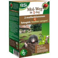 Mol weg in 1 dag + fotogids