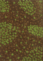 Busch 1321 Plantvezelmat Bosgrond Zomers