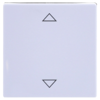 Busch Jaeger 6430 84 102 2CKA006430A0329 Toegangsmodule Glimmend (b x h) 63 mm x 63 mm ↑/↓ Verkeerswit, Wit 1 stuk(s) Piece