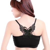 Butterfly Lady Bra Hollow Chest Wrapped