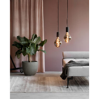 Calex Organic Evo LED   titanium   6W   dimbaar   Leen Bakker