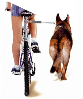 Camon Walky Dog Fietsbeugel 60x3x3 Cm