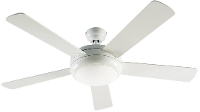 Casafan Titanium We Plafondventilator (ã) 132 Cm Kleur Ventilatorbladen: Wit (glanzend) Kleur Behuizing: Wit