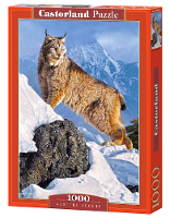 Castorland Legpuzzel Austere Ascent 1000 Stukjes