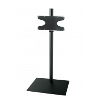 Cavus Cavf31c31m22