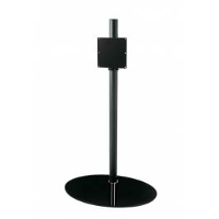Cavus Cavf42c31m20