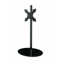 Cavus Cavf42c31m21