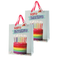 Verjaardag giftbags/cadeau tasje   Set van 4x stuks   verjaardagstaart   25 x 32 x 12 cm   papier  