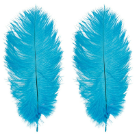 Roetveeg Piet Struisvogelveren   2x   aqua blauw   30 35 cm   Sinterklaas verkleedveer