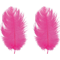 Roetveeg Piet Struisvogelveren   2x   fuchsia roze   30 35 cm   Sinterklaas verkleedveer