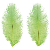 Roetveeg Piet Struisvogelveren   2x   lime groen   30 35 cm   Sinterklaas verkleedveer