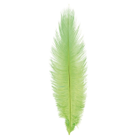 Struisvogelveer/sierveer   lime groen   55 60 cm   decoratie/hobbymateriaal