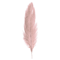 Struisvogelveer/sierveer   oud roze   55 60 cm   decoratie/hobbymateriaal