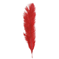 Struisvogelveer/sierveer   rood   55 60 cm   decoratie/hobbymateriaal