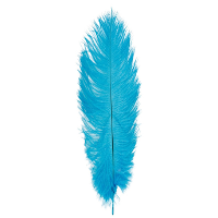 Struisvogelveer/sierveer   turquoise   55 60 cm   decoratie/hobbymateriaal