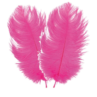 Struisvogelveren/sierveren   2x   fuchsia   30 35 cm   decoratie/hobbymateriaal