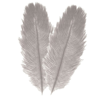 Struisvogelveren/sierveren   2x   licht grijs   30 35 cm   decoratie/hobbymateriaal