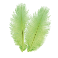 Struisvogelveren/sierveren   2x   lime groen   30 35 cm   decoratie/hobbymateriaal